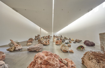 AVR Rinascimento 381 5 90 3 final