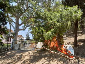 AVR T O D NEON 0801 f 1 1