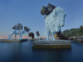 AVR TMBM 2674 6 9 81 f 1