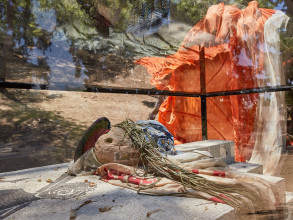 AVR T O D NEON 0860 f 1