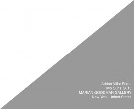 AVR TwoSuns 2015 NY title