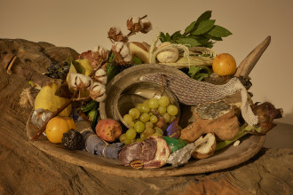 AVR Rinascimento 586 f