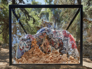 AVR T O D NEON 0767 71M f