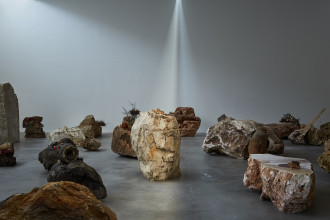 AVR Rinascimento 761 tbr