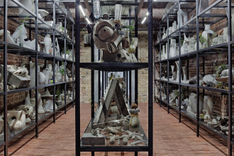 Shelf totalviews 039 0