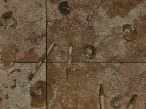 AVR T O D KUB 0797 1