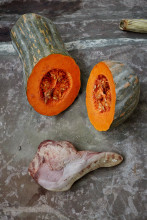 AVR Rinascimento 619 f