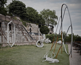 d13 Rojas T 03 f 002 3 v2