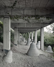 d13 Rojas S 20 055 6 c  1