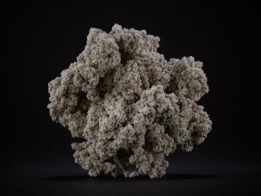 Jens Risch Seidenstueck VI 