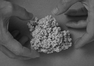 Seidenstueck IV H01 V02 1