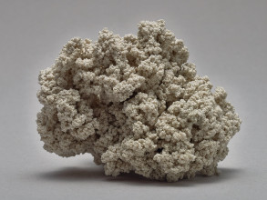 Seidenstueck V 004 008 009 color 