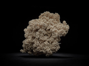 JensRisch S VIII 006 f 3zu4 s