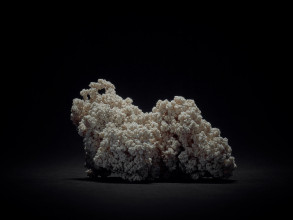 JensRisch Seidenstueck VII 