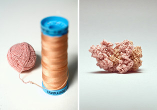 Quintett Details2 013 u S Rosa