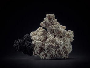 JensRisch Seidenstueck III 047