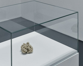 JensRisch bei BischoffProjects022014