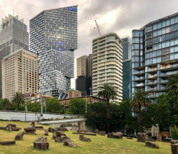 onthefly 112022 0577