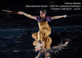 FM MS DUET4 GP 215 Kopie