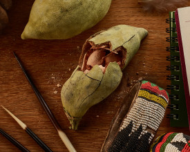 LR DE KAVANGO ZAMBEZI ET19 keyvisual V04 f Base a and b 2